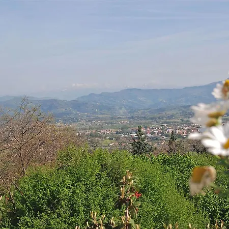 Montefiore By Salogi