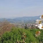 Montefiore By Salogi